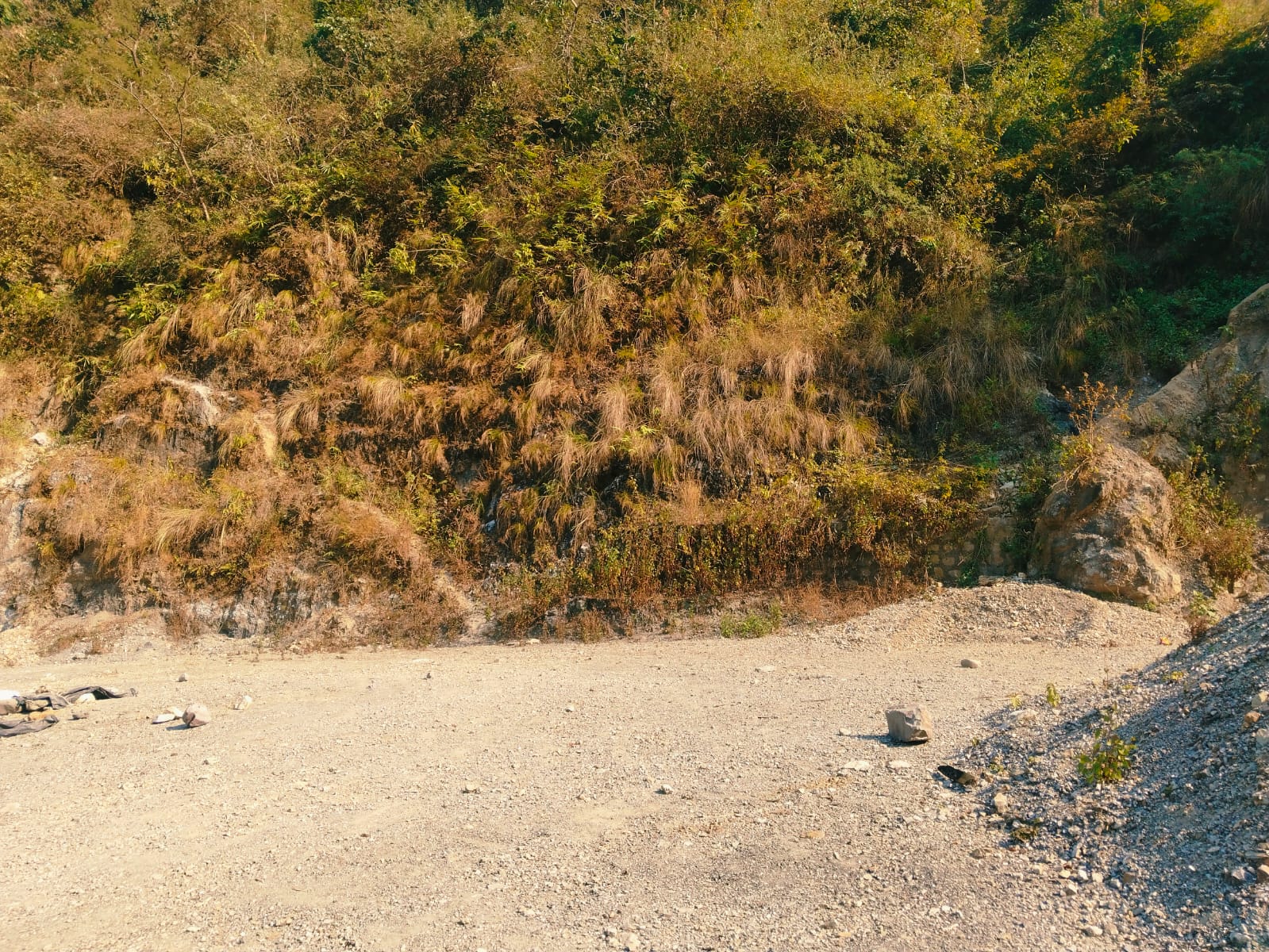 commercial land for hotel or resort project near sahastradhara, dehradun (9) commercial land for hotel or resort project near sahastradhara, dehradun (9)